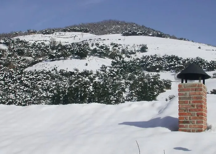 Aire De Montana - Estupendas Vistas A Picos 木屋 Baro (Cantabria)